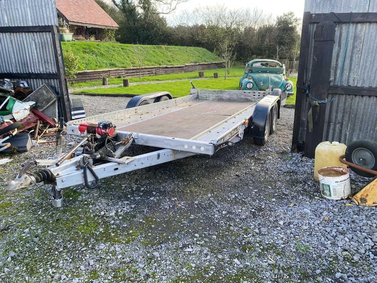 Cat transporter - Image 3