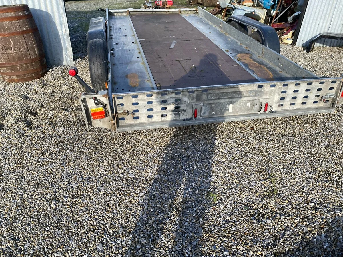 Cat transporter - Image 4