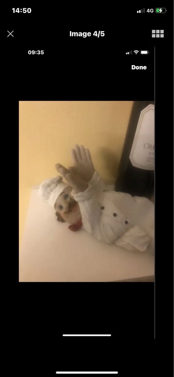 Chef Wine Holder - Image 4