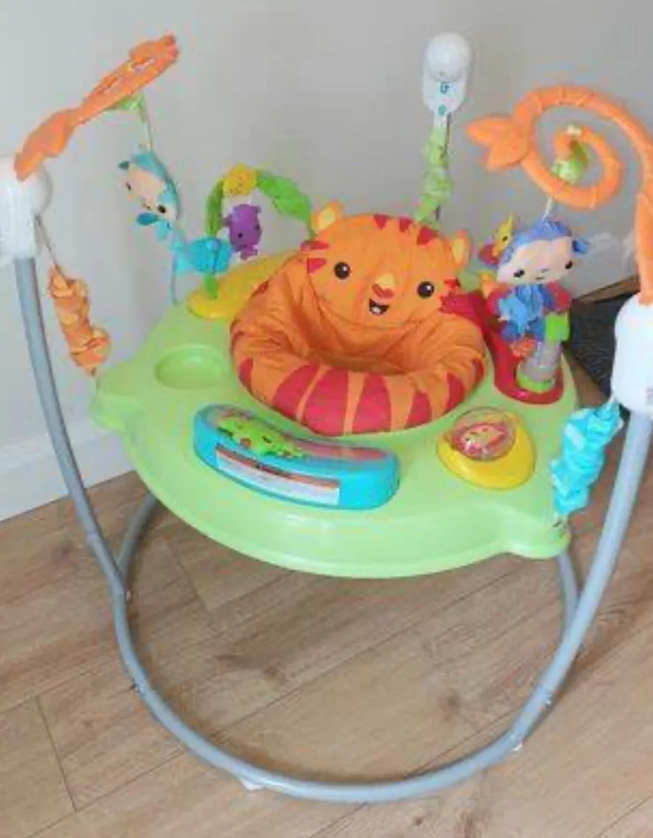 Jumperoo Baby Bouncer