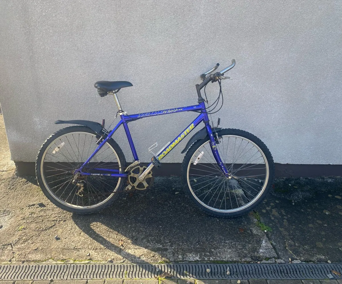 Blue bike - Image 1