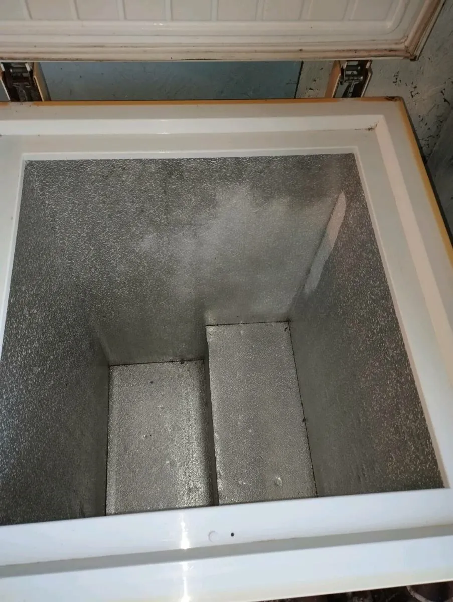 Two chest freezers that's not the one moment I'm p - Image 3