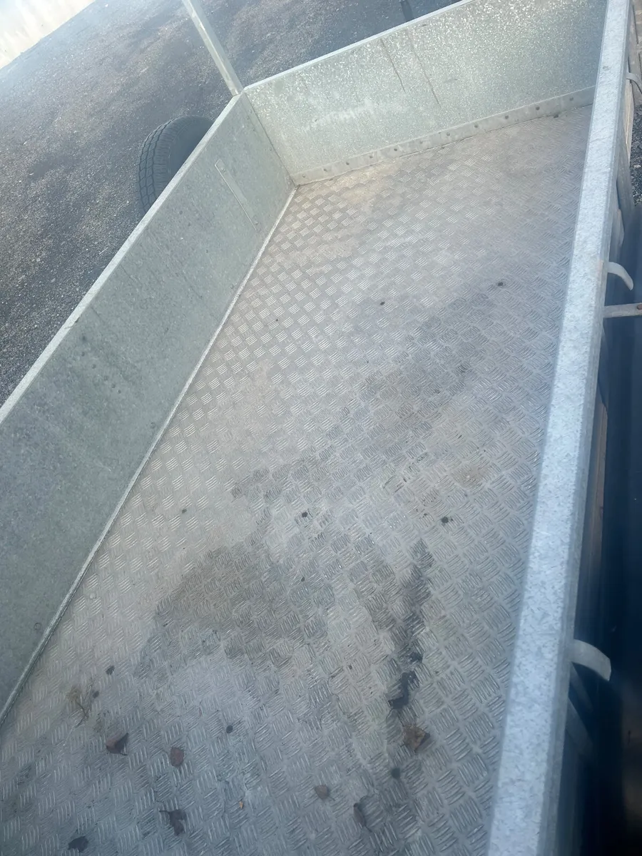 Iforwilliams trailer - Image 4