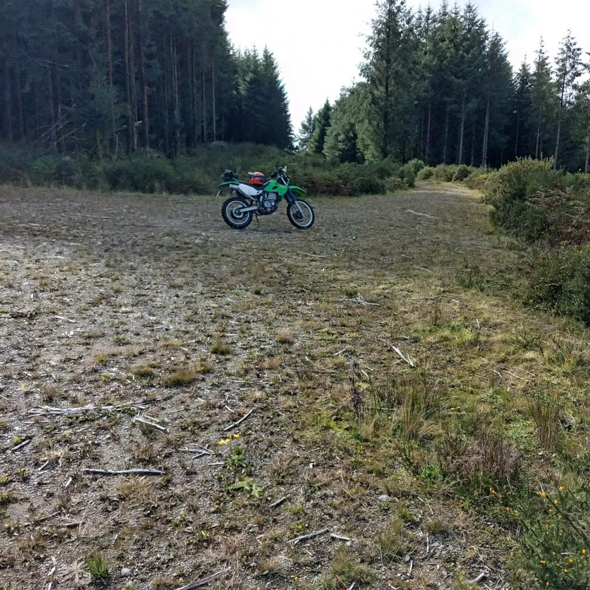 Motorcycle - Image 3