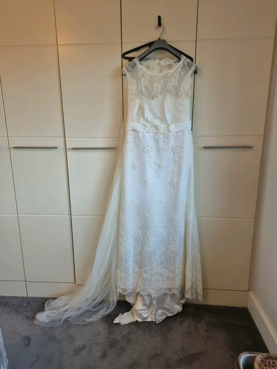 Wedding Dress and Veil - Image 1