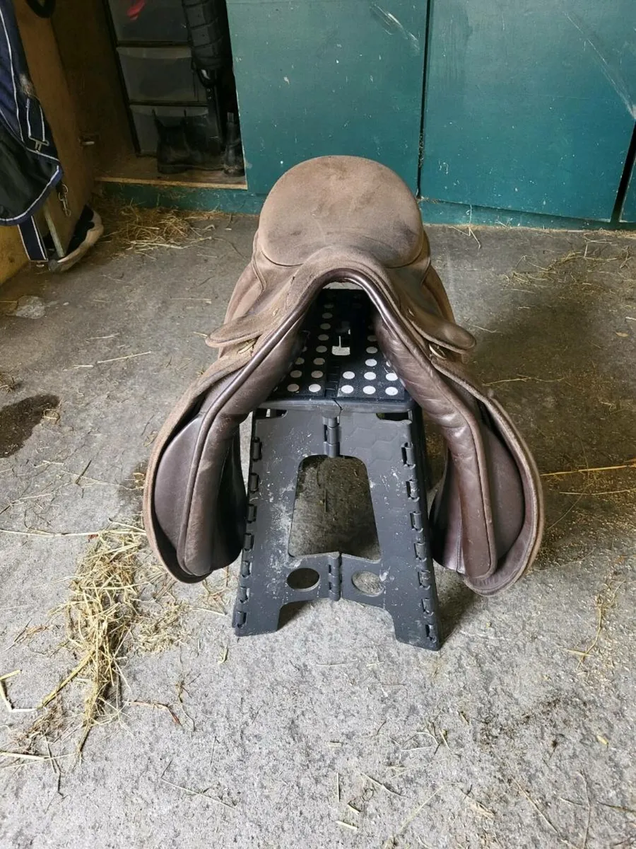 18" showing saddle  price reduction - Image 4
