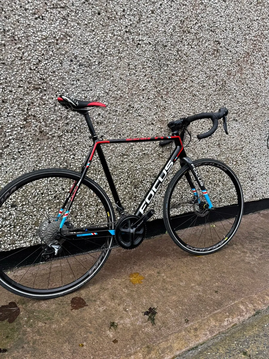 Focus makes AL - Image 2