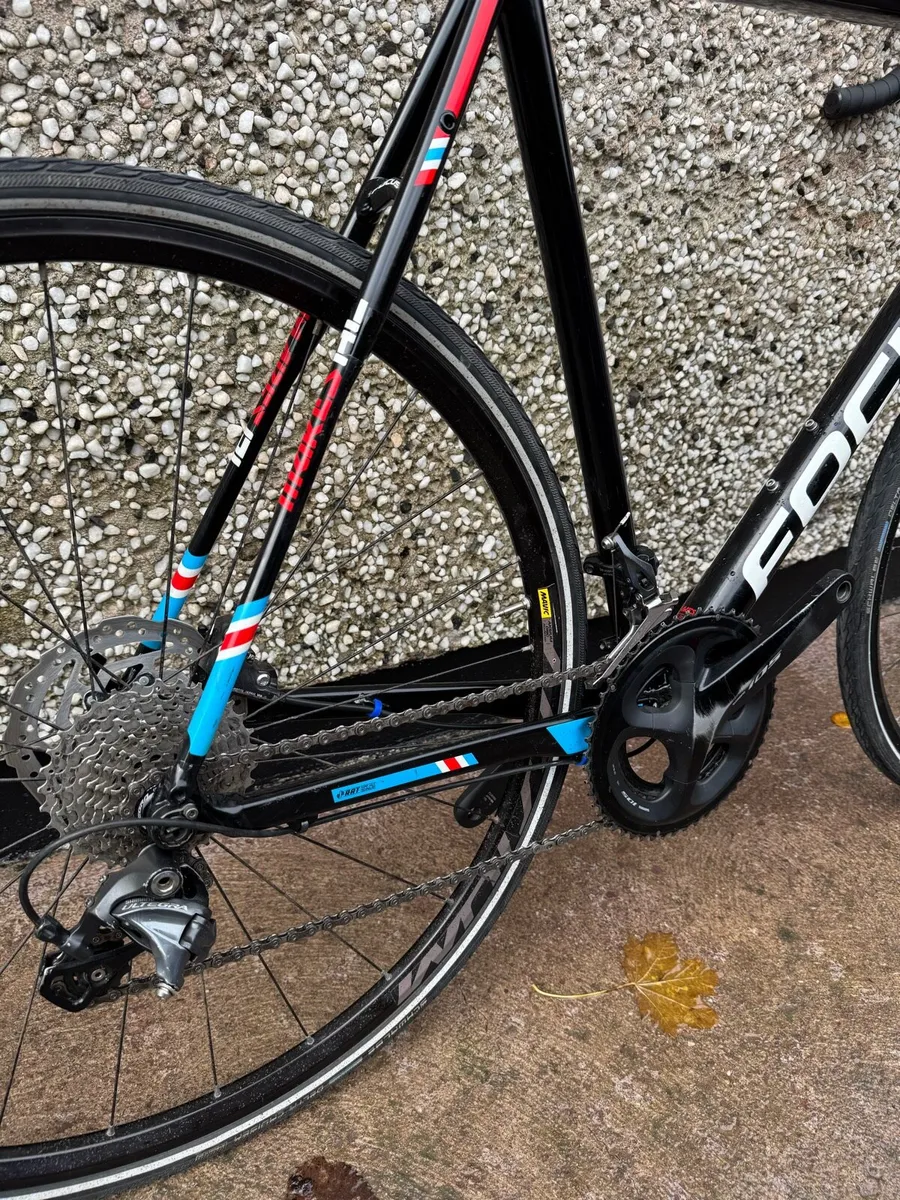 Focus makes AL - Image 3