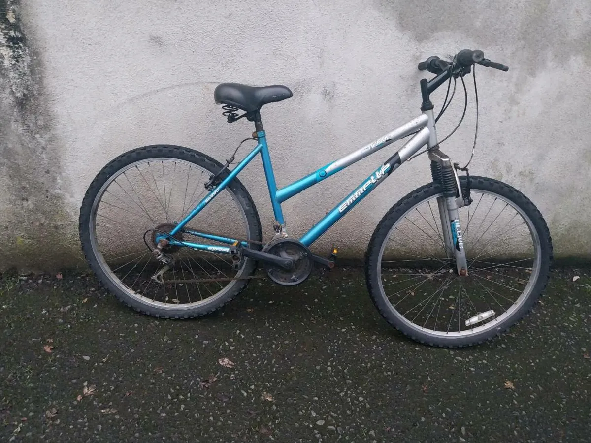 Women's mountain bike - Image 1