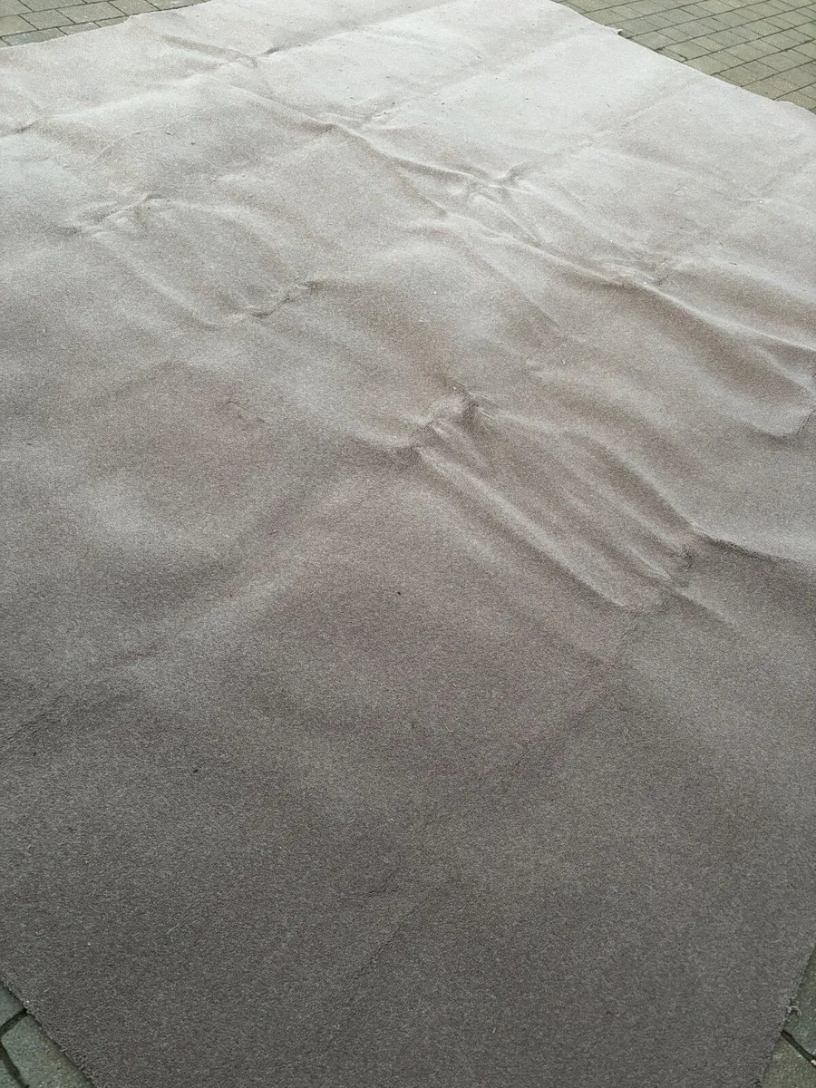 Carpet - Image 3