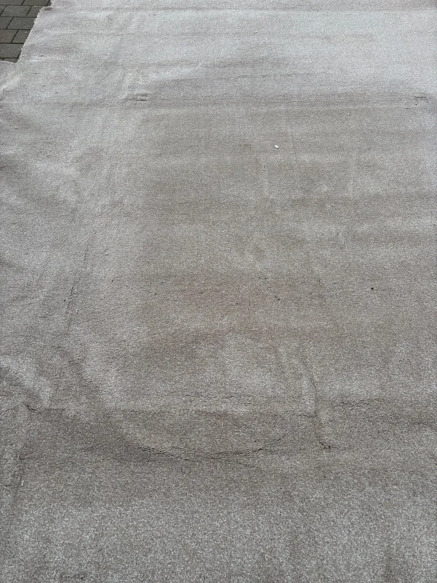 Carpet - Image 4