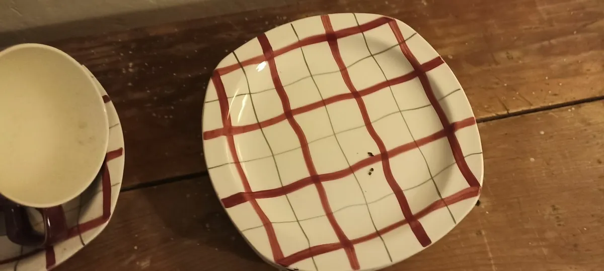 Midwinter Stylecraft Staffordshire - Image 2