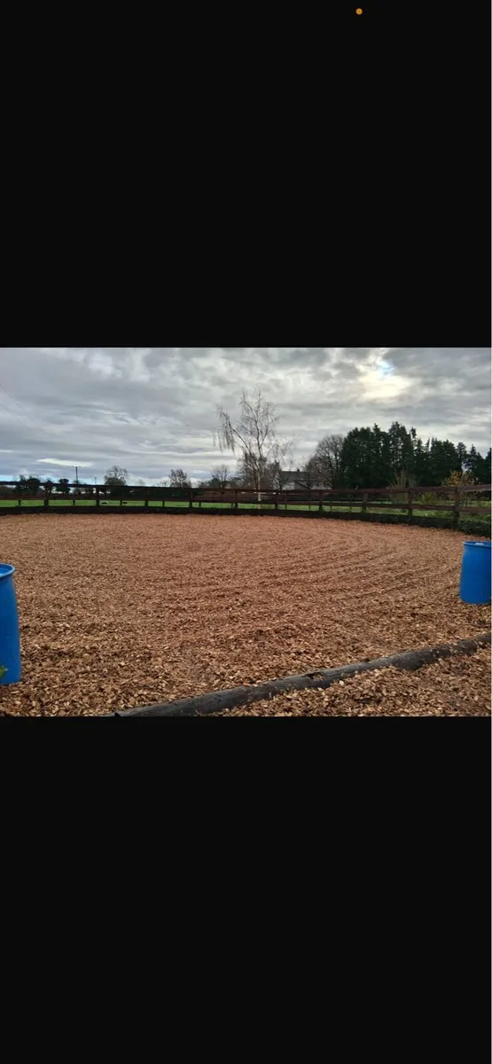 Woodchip perfect  for horse arena’s - Image 2