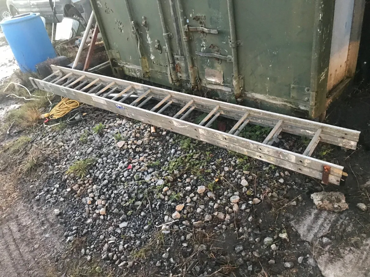 Double ladders for sale - Image 1