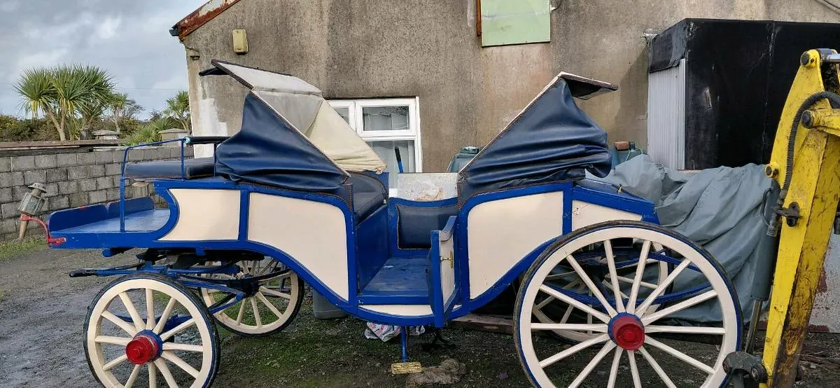 Horse Drawn Carriage - Image 1