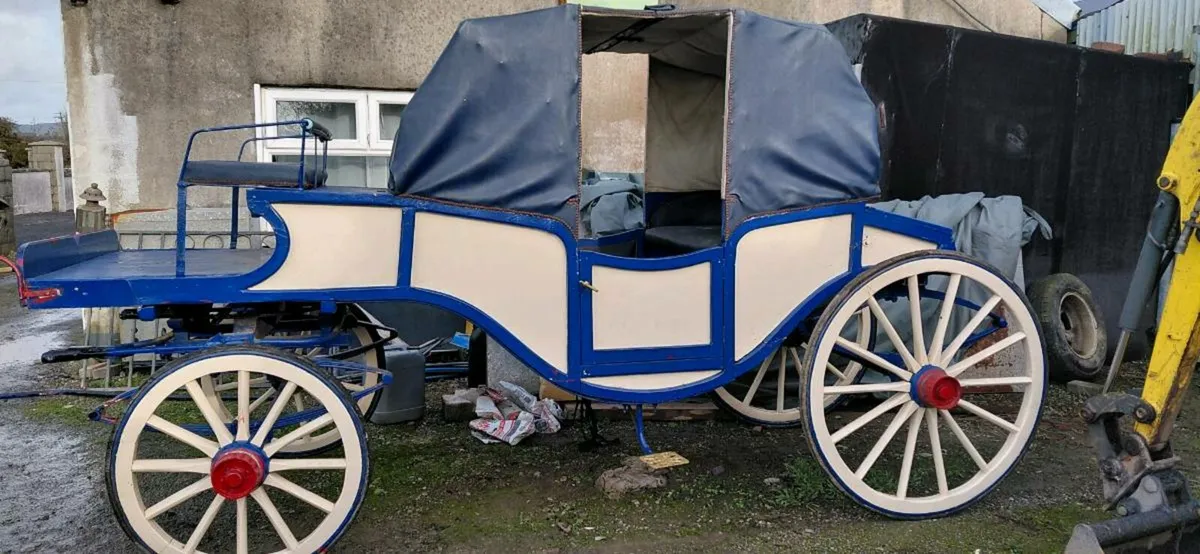 Horse Drawn Carriage - Image 2