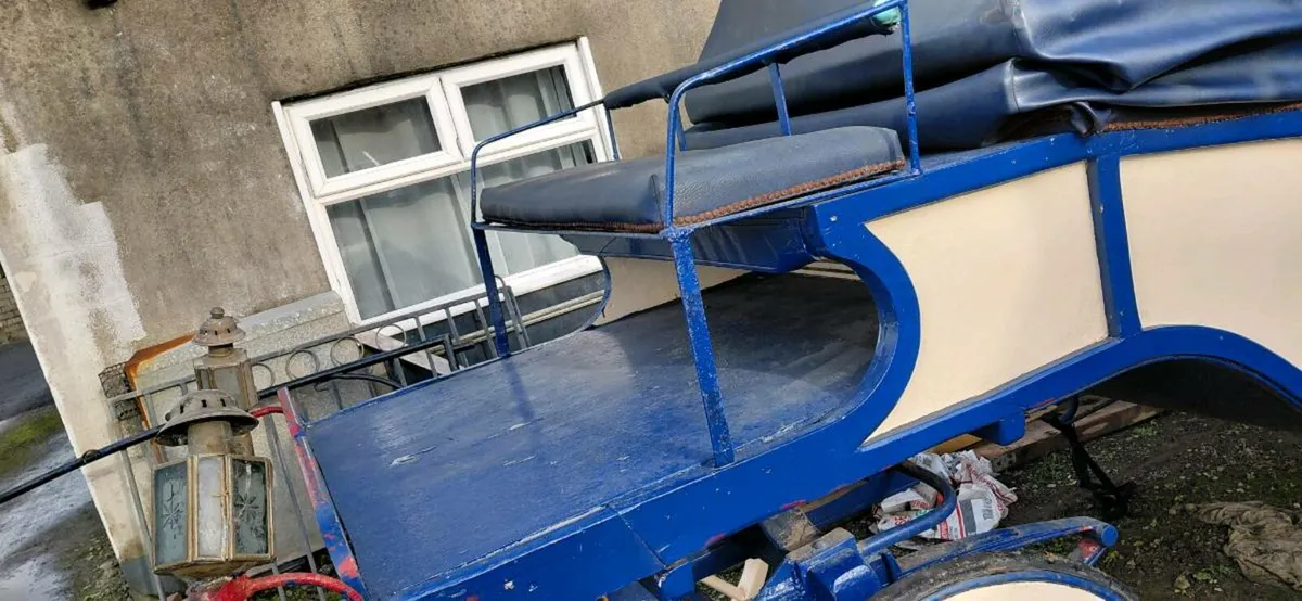 Horse Drawn Carriage - Image 4