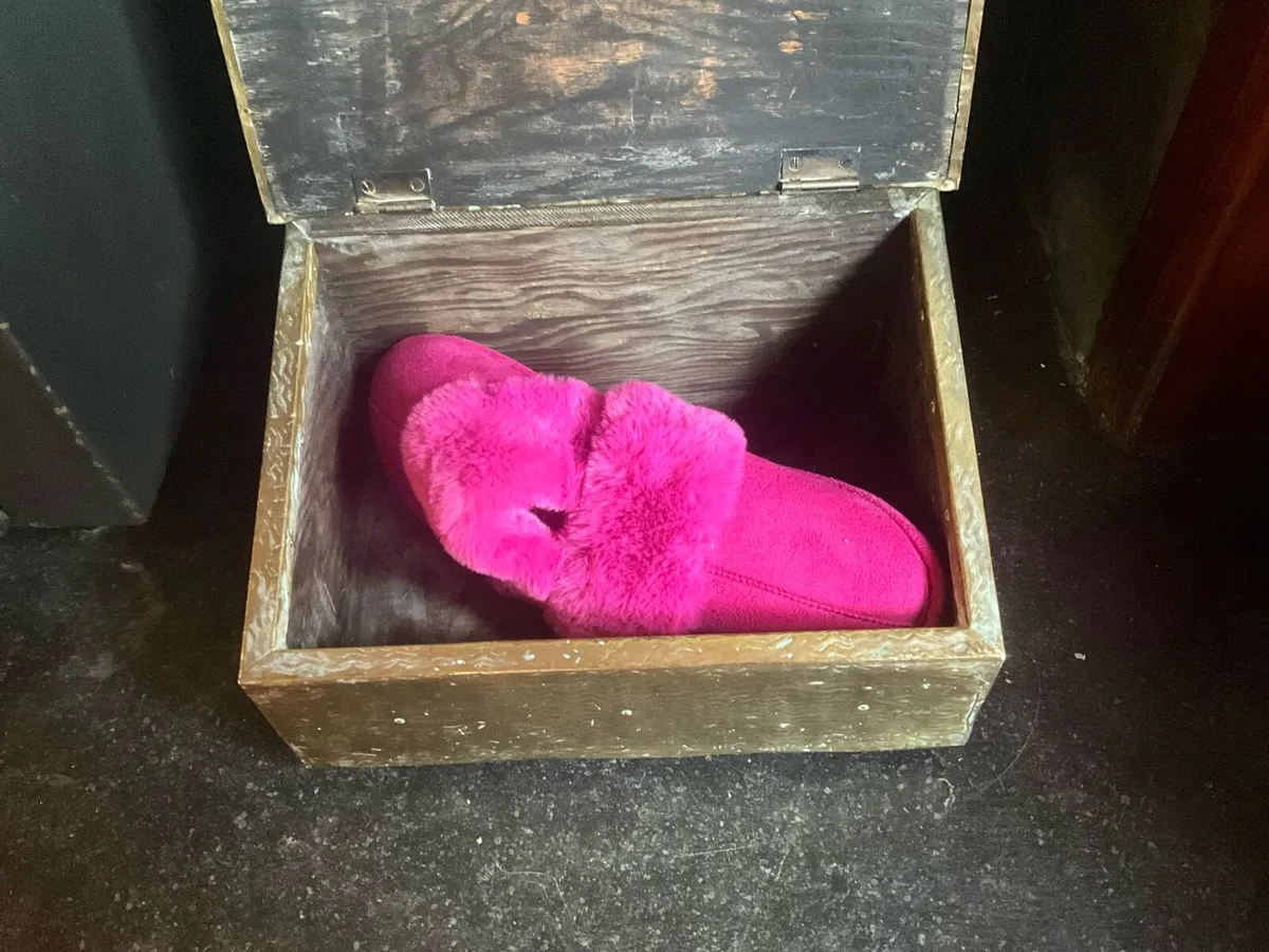 Antique Brass Bonzo Slipper Box - Image 3