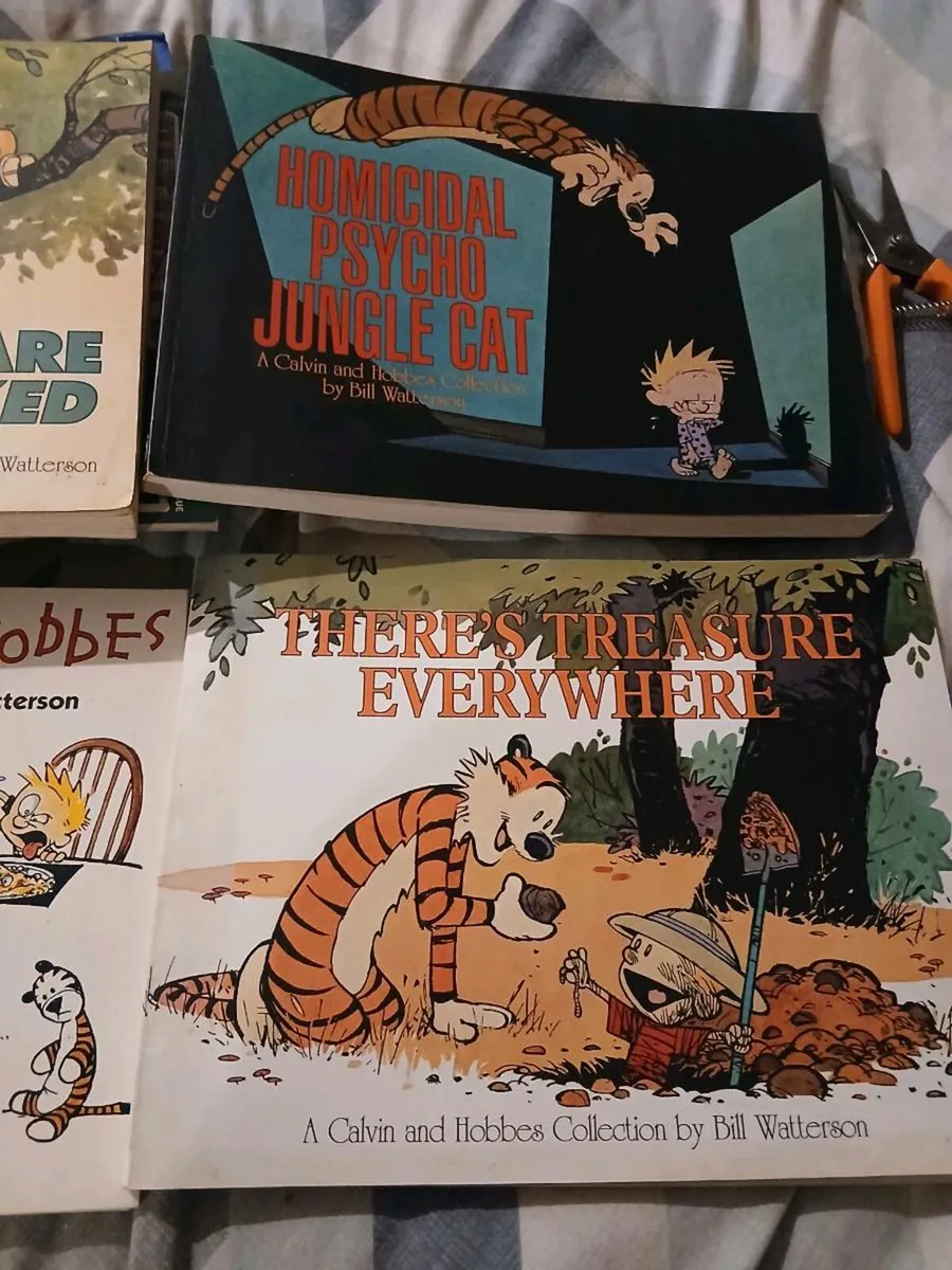 Calvin and hobbes comics - Image 2