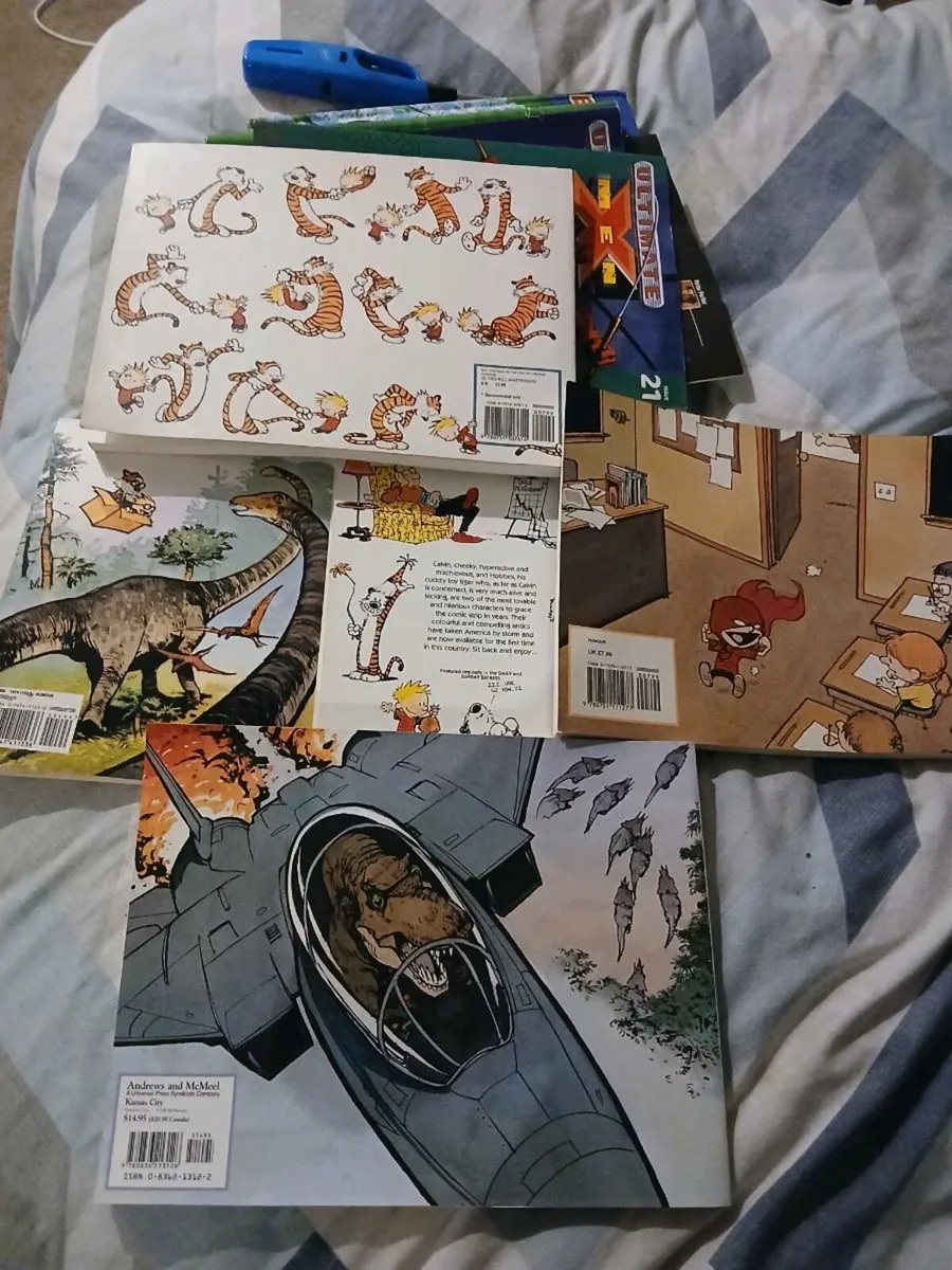 Calvin and hobbes comics - Image 3