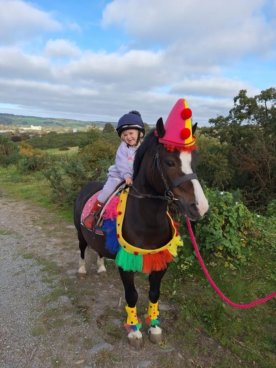 TOP CLASS KIDS PONY - Image 2