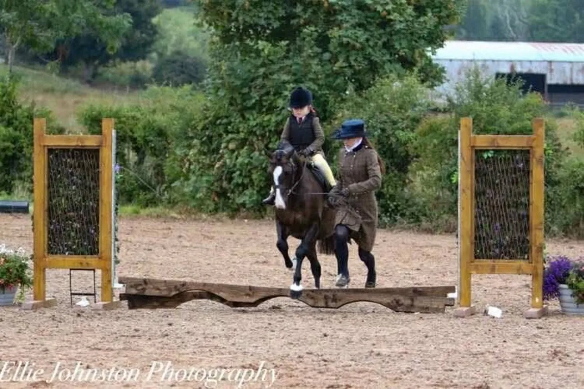 TOP CLASS KIDS PONY - Image 3