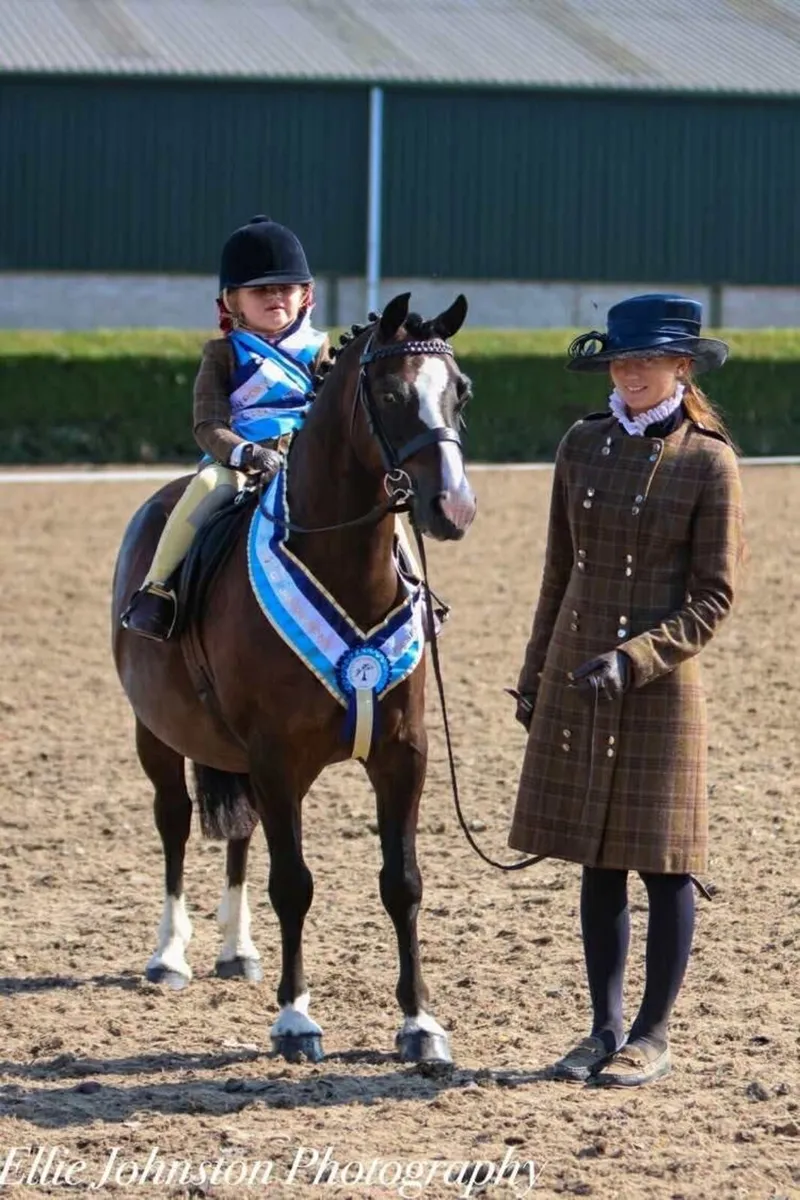 TOP CLASS KIDS PONY - Image 1