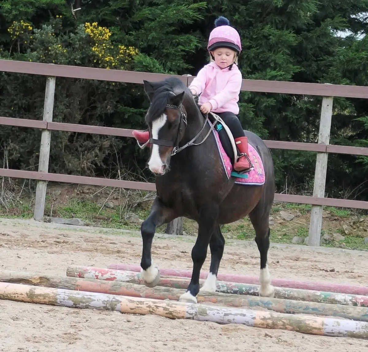 TOP CLASS KIDS PONY - Image 4