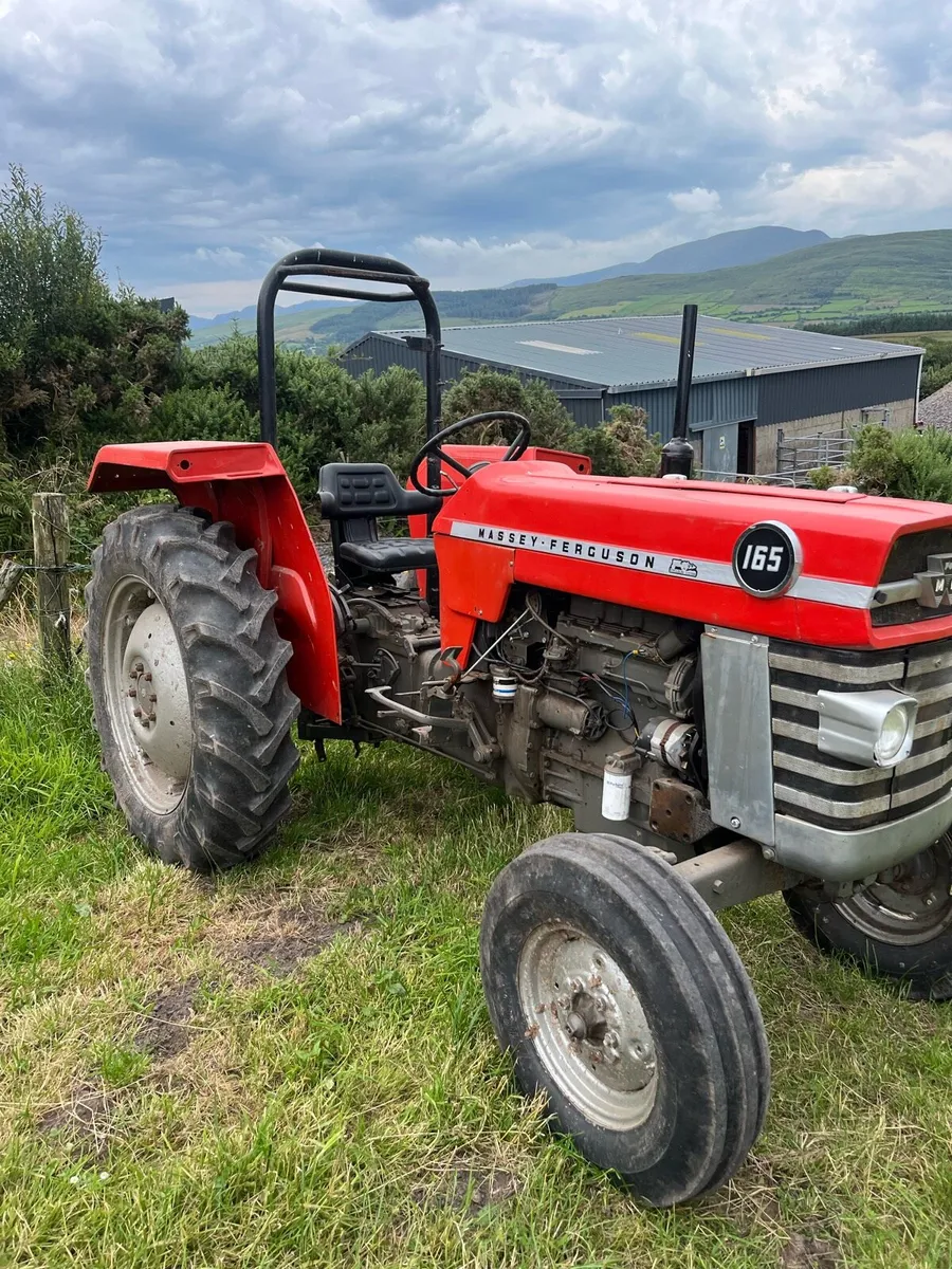 Massey 165 / yard clearance open to offers - Image 2