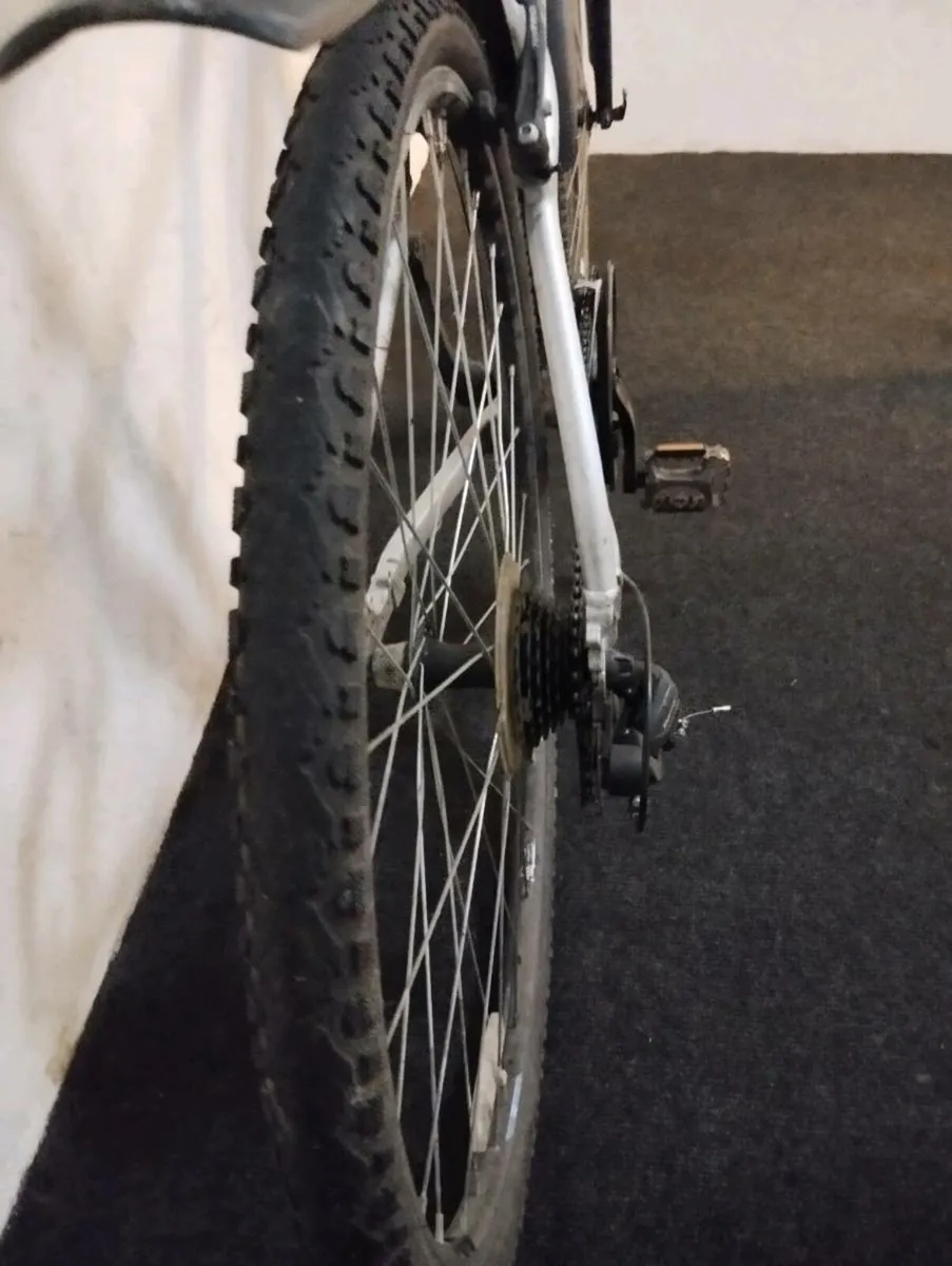 Carrera hybrid - Image 3