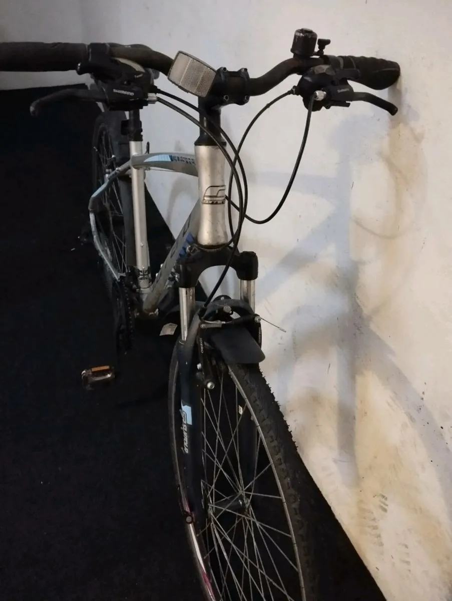 Carrera hybrid - Image 4