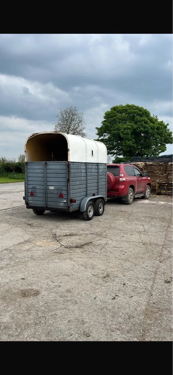 Horse box - Image 2