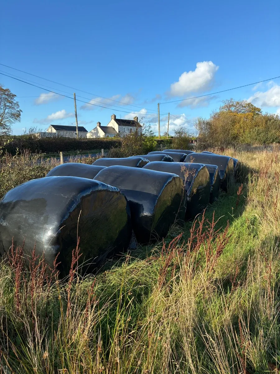 Silage bales *FREE*