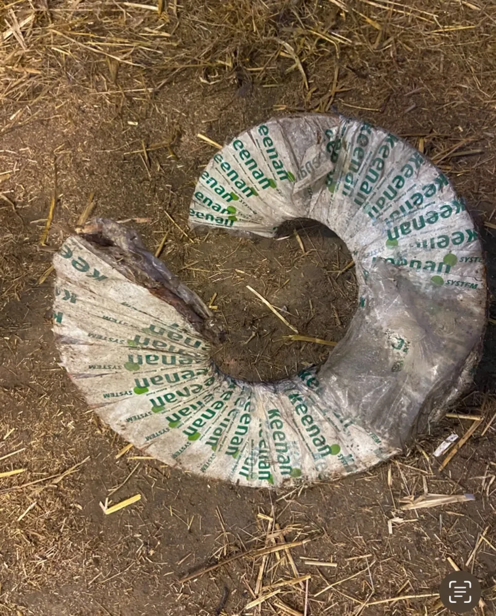 Flight Auger for Keenan Feeder