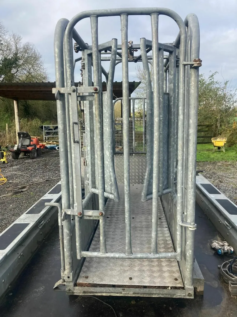 IAE Mobile cattle crush with weighing scales - Image 3