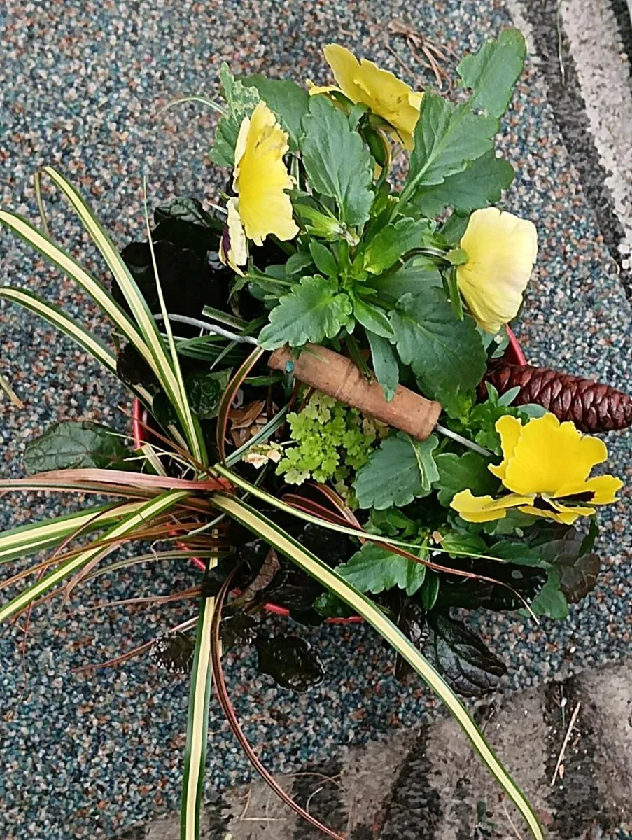 Beautiful Christmas bucket's full 2 for 15 bargain - Image 1