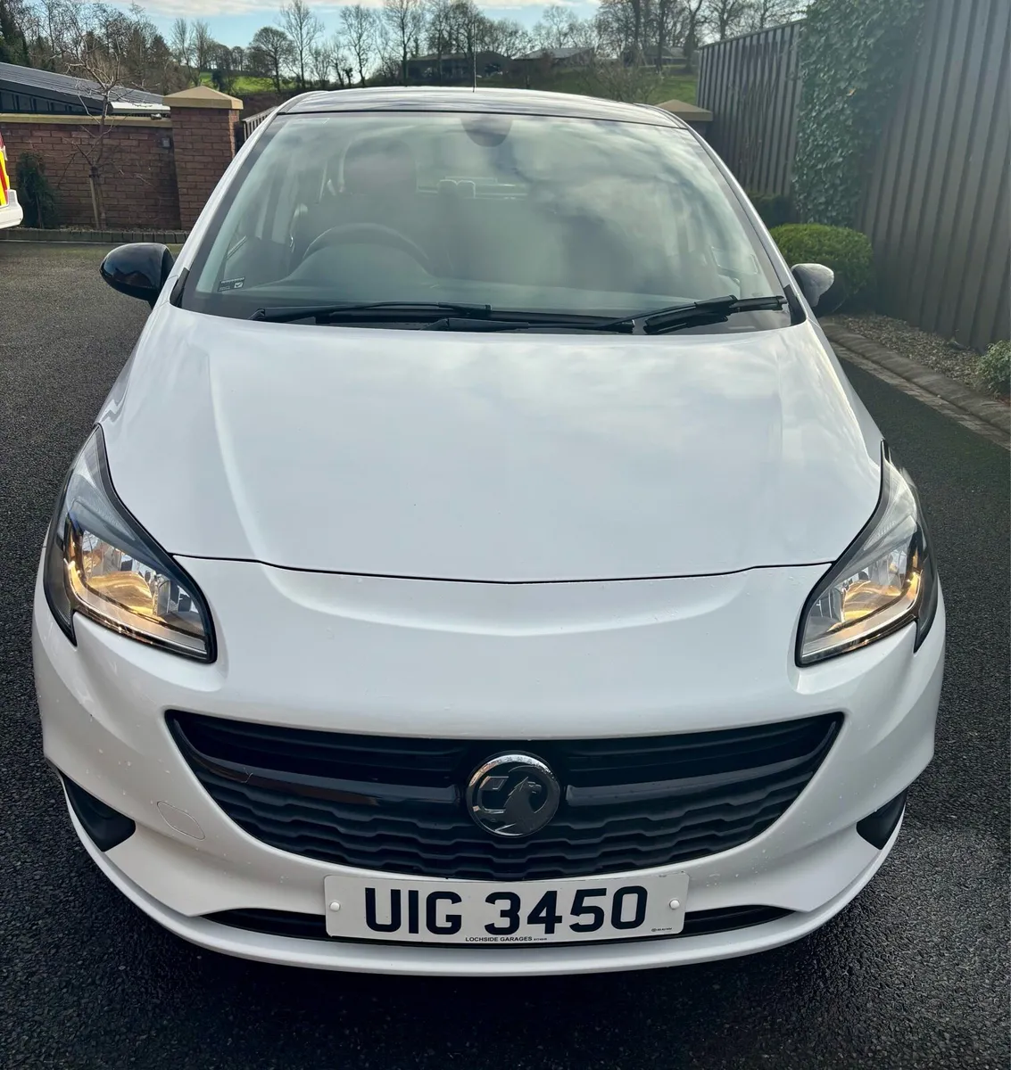 Corsa Griffin - Image 1