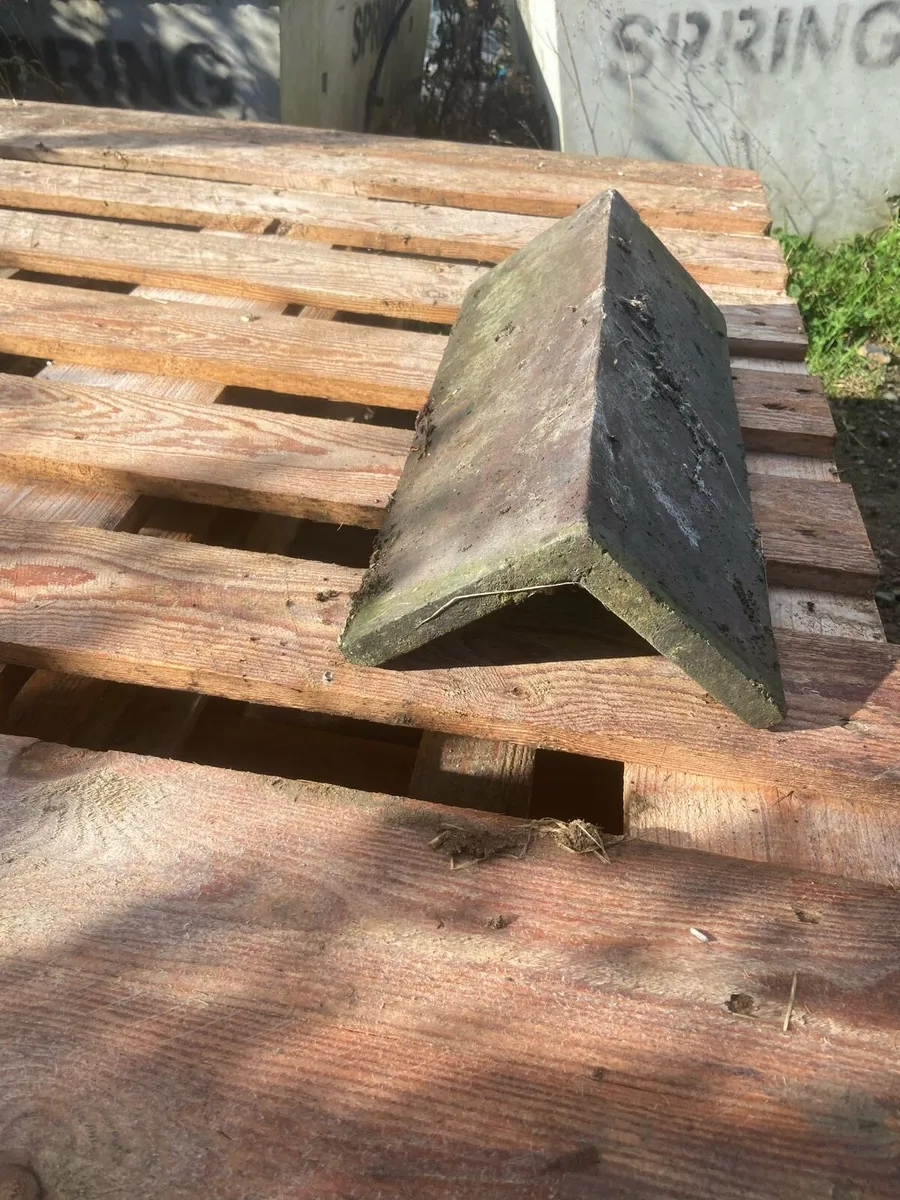 Ridge tiles - Image 1