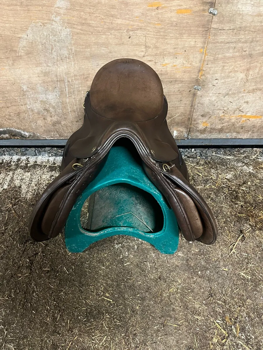 Saddle - Image 3