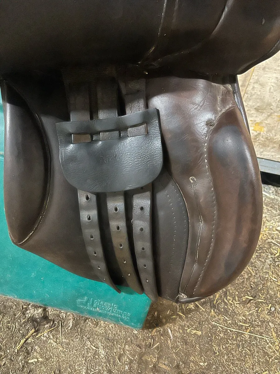Saddle - Image 4