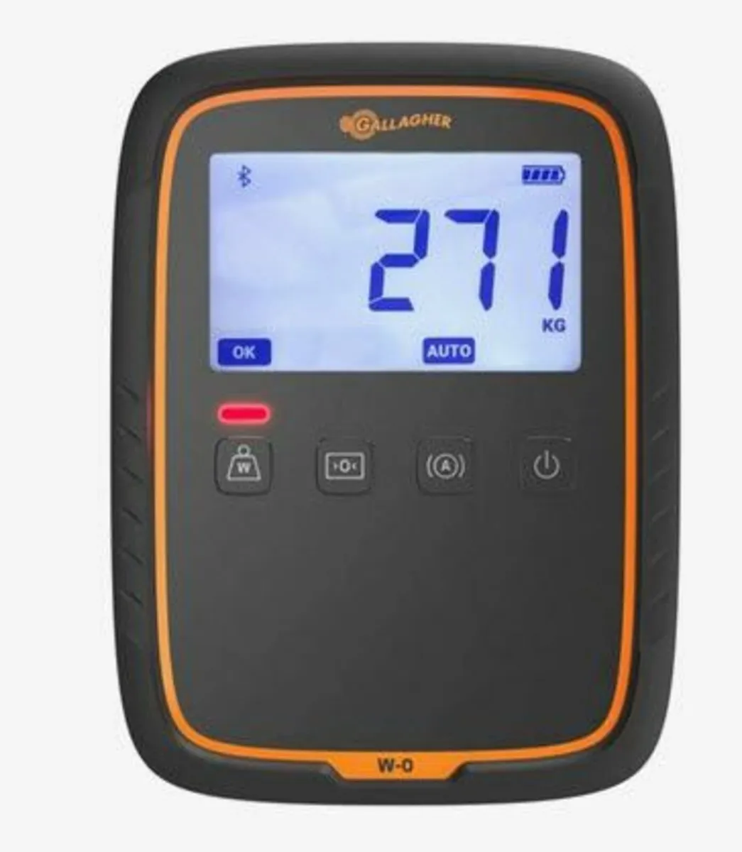 Build your own scale - Image 3