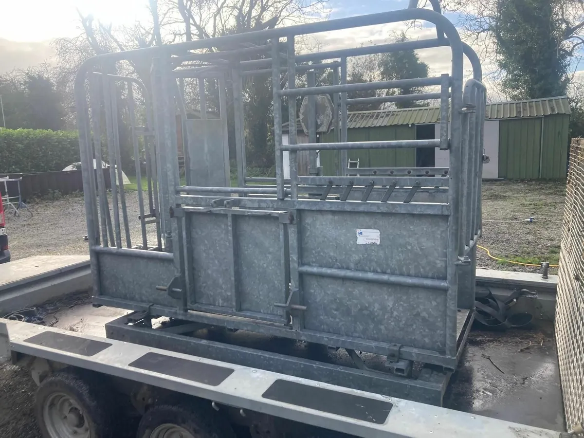 IAE Mobile cattle crush with weighing scales - Image 1