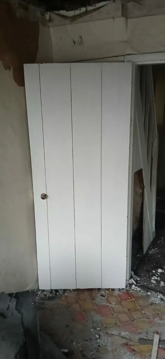 Internal Vintage Doors - Image 2