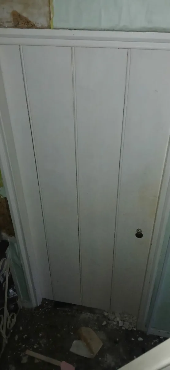 Internal Vintage Doors - Image 3