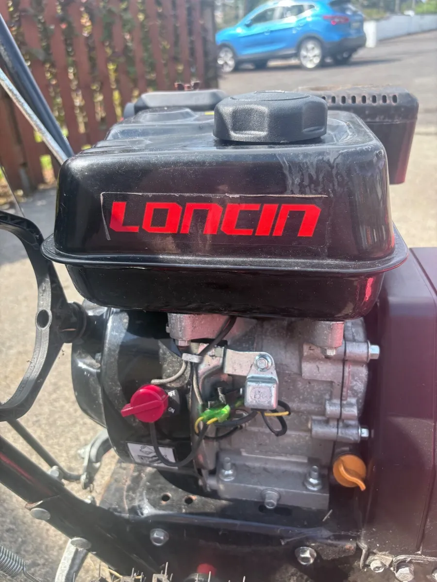 Motorised  leave & moss brush - Image 1