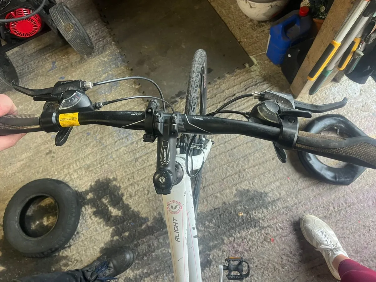 Adult  bicycle - Image 3