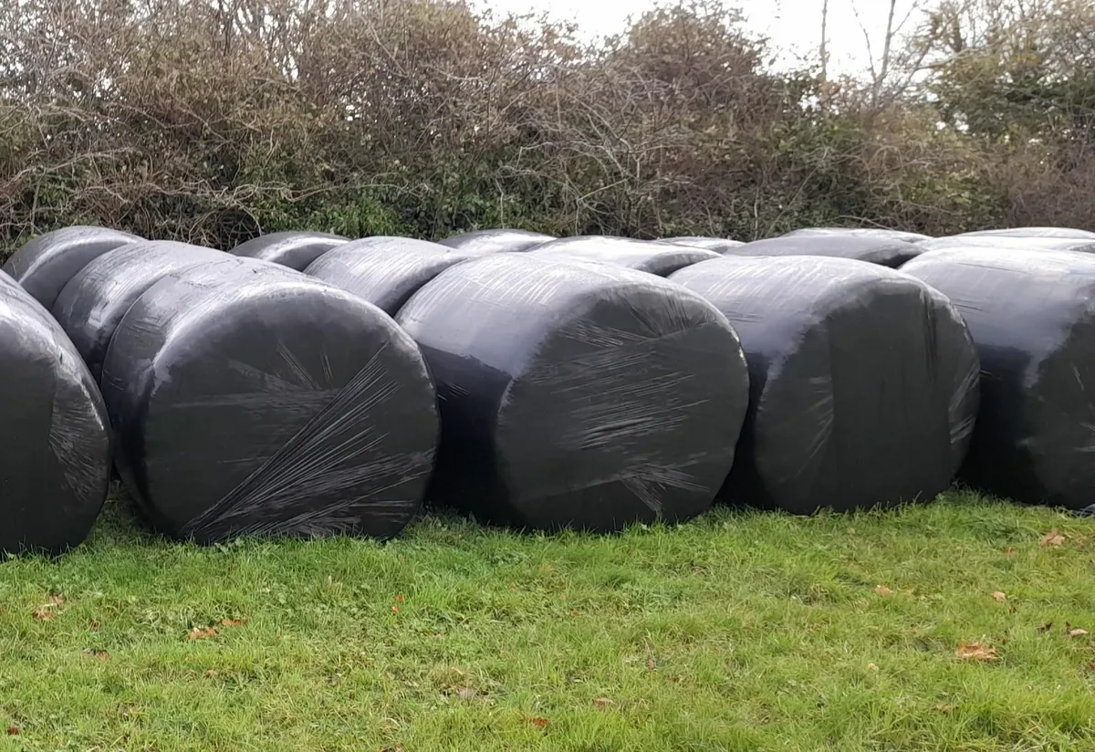 Haylage and Hay for sale - Image 1