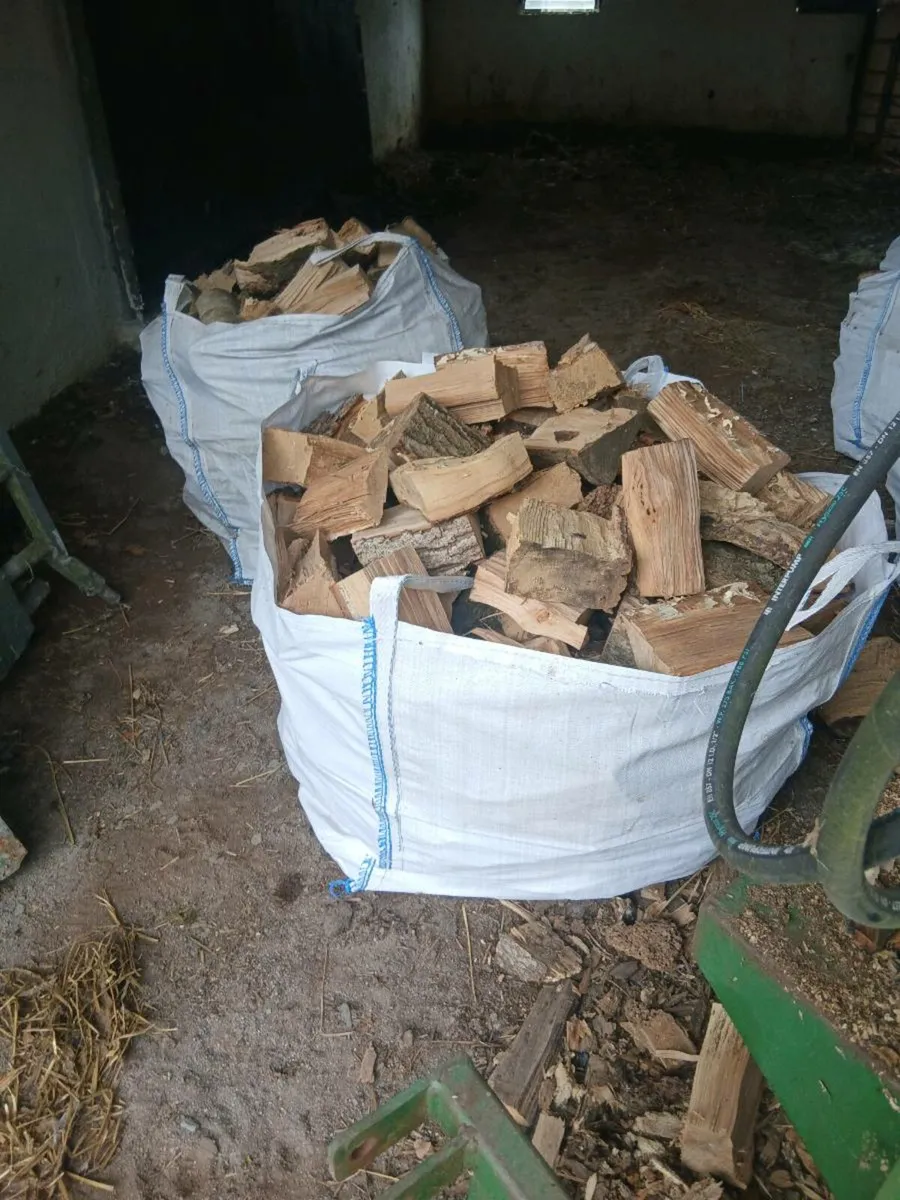 Firewood - Image 4