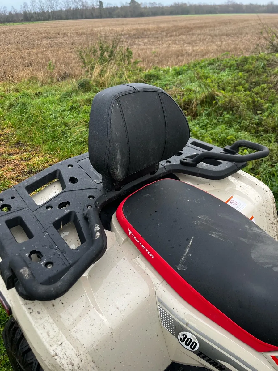 300cc quad bike - Image 2