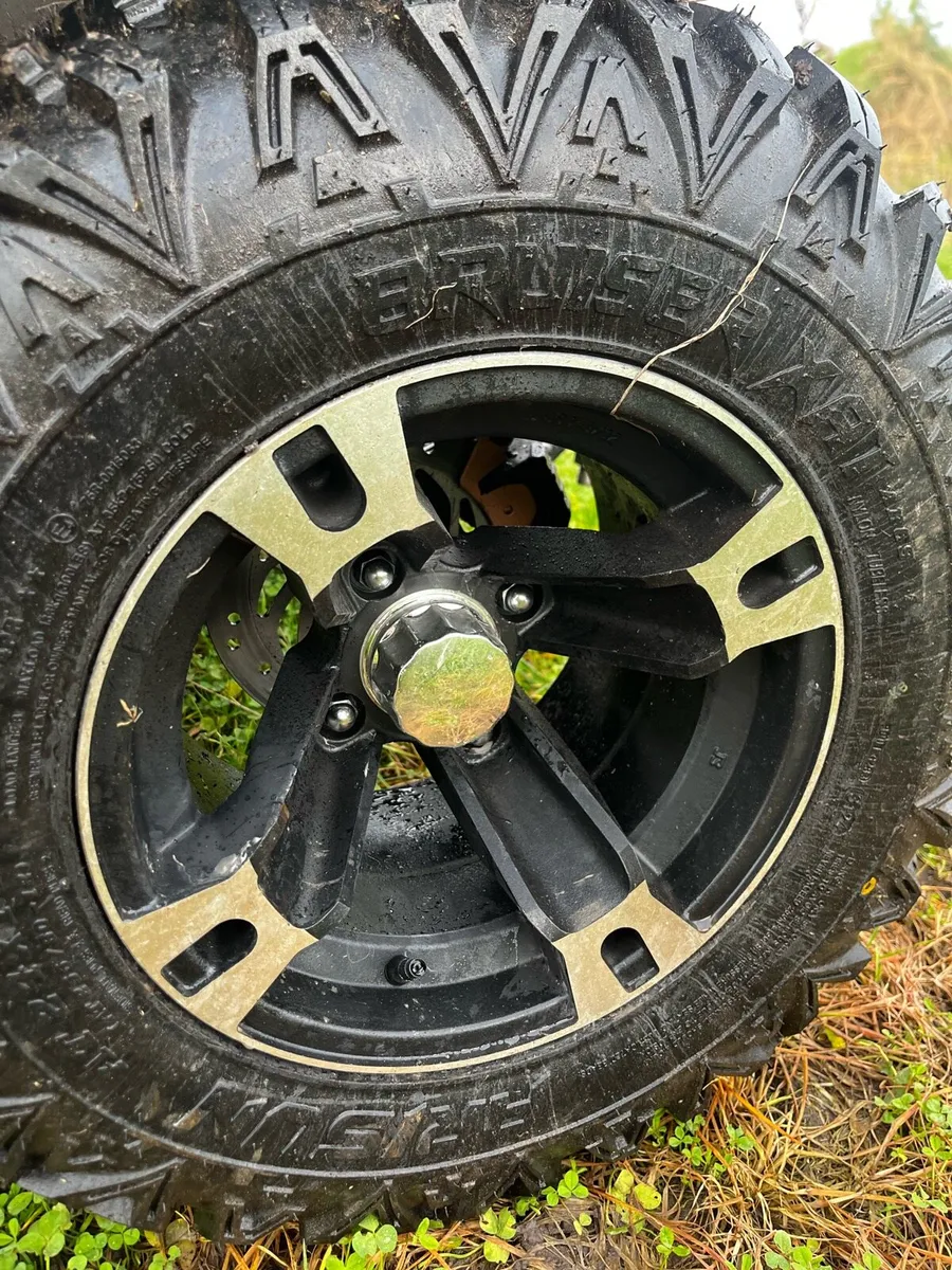 300cc quad bike - Image 3